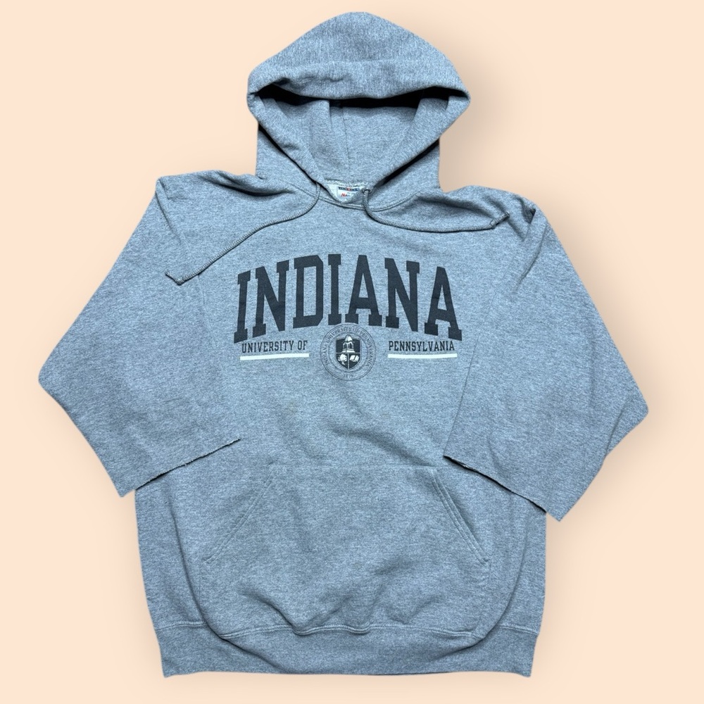 Vintage IUP Y2K Cut Off Hoodie Large Gray Indiana PA 2000s
